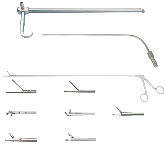 Speiseröhre - spiegel untersucht