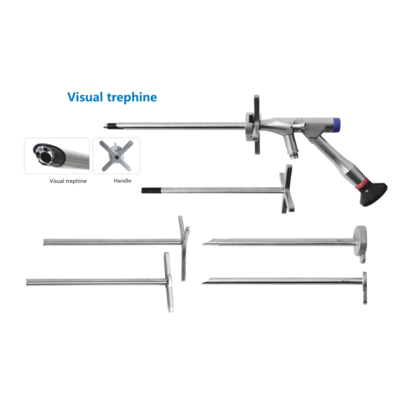 Rückgrat ein - ChanMen die ein - 6,3 mm x 181mm - 30 ° gerät. 3,75 mm