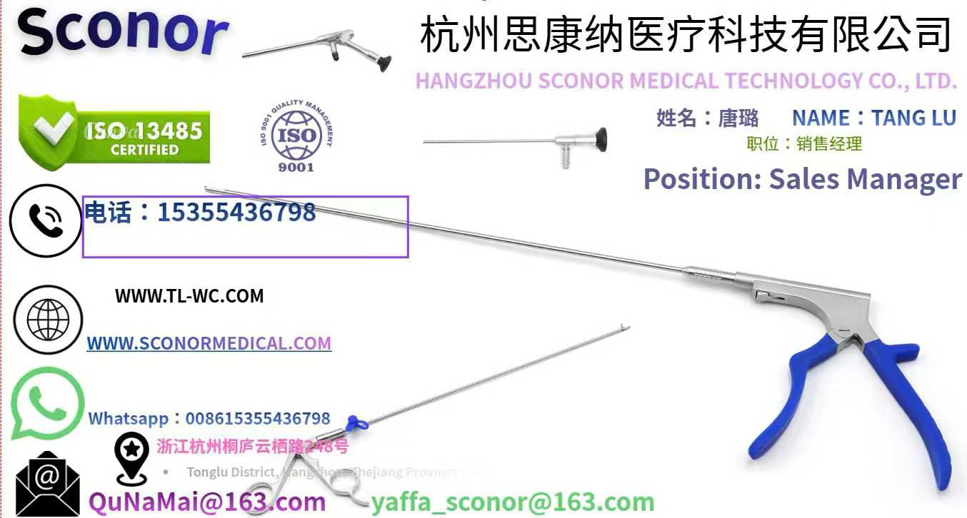 Die akademische sitzung des UBE